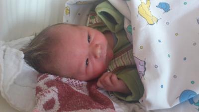 Bild zu Lennox kam am 15.10. zur Welt - Forum für Oktober - Mamis