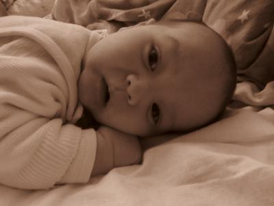 Bild zu Theo - Forum für Oktober - Mamis