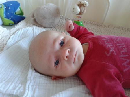 Bild zu