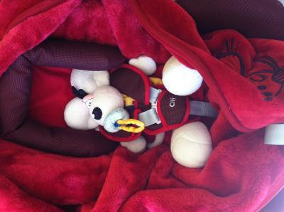 Bild zu Der papa übt schonmal :D - Forum für Oktober - Mamis