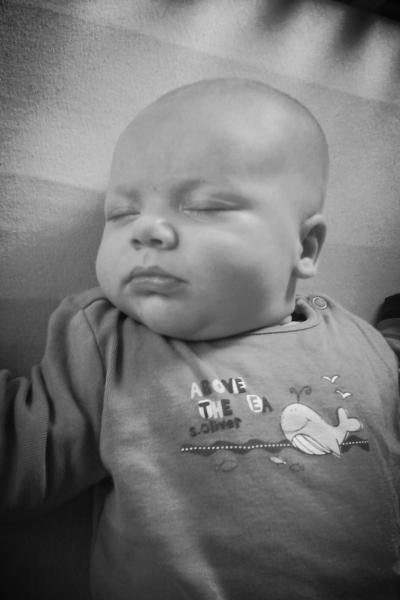 Bild zu mein schatz fast 9 wochen alt - Forum für Oktober - Mamis