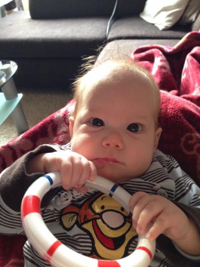 Bild zu Schaut mal, was Levi gelernt hat - Forum für Oktober - Mamis