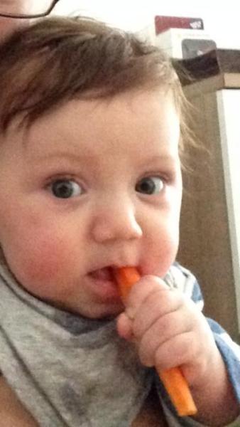 Bild zu Neuer Greifling - Forum für Oktober - Mamis