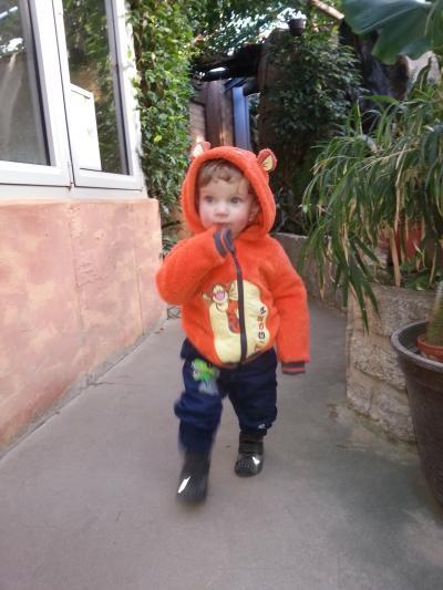 Bild zu WER PLAN NOCH NACHWUCHS - Forum für Oktober - Mamis