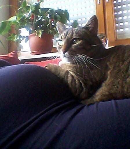 Bild zu