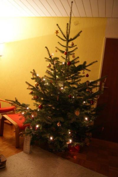 Bild zu so nen großen baum hatten wir noch nie ;) - Forum für Oktober - Mamis
