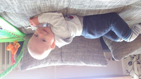 Bild zu 