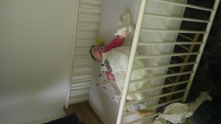 Bild zu