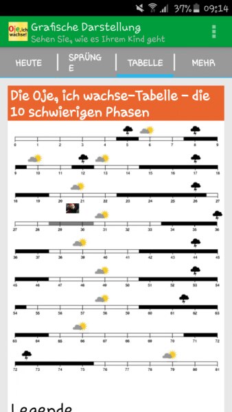 Bild zu 