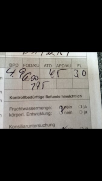 Bild zu 2. Screening. Hilfe beim mutterpass - Forum für Oktober - Mamis