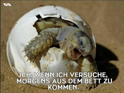 Bild zu Geht es euch auch so.... - Forum für Oktober - Mamis