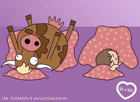 Bild zu 