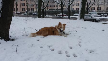 Bild zu