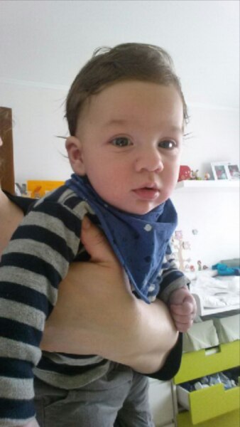 Bild zu