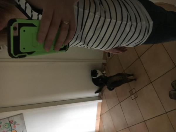 Bild zu
