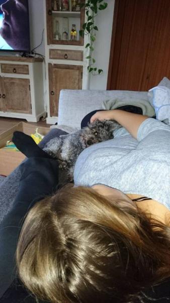 Bild zu 