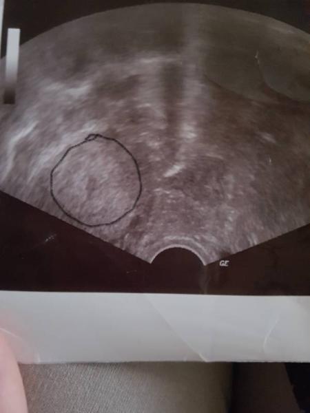 Bild zu Darf ich vorstellen.. - Forum für Oktober - Mamis