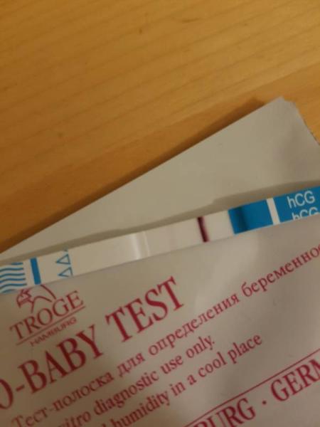 Bild zu Denke gehöre auch hier her - Forum für Oktober - Mamis