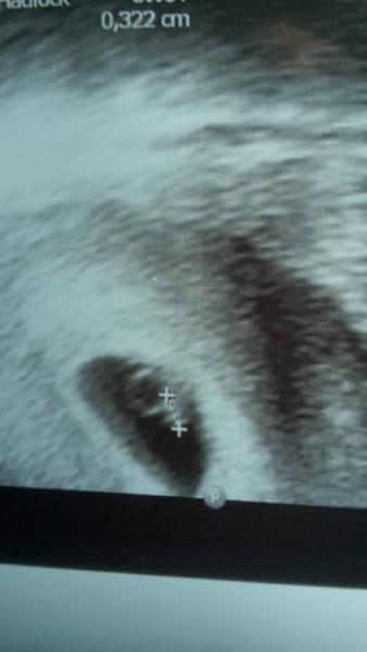 Bild zu Ich bin glücklich :) - Forum für Oktober - Mamis