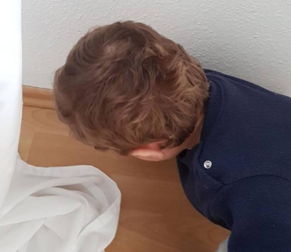 Bild zu 