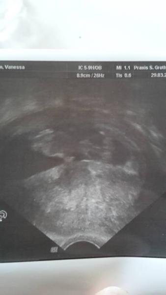 Bild zu Ich bin verliebt - Forum für Oktober - Mamis