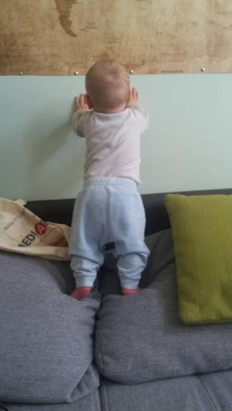 Bild zu