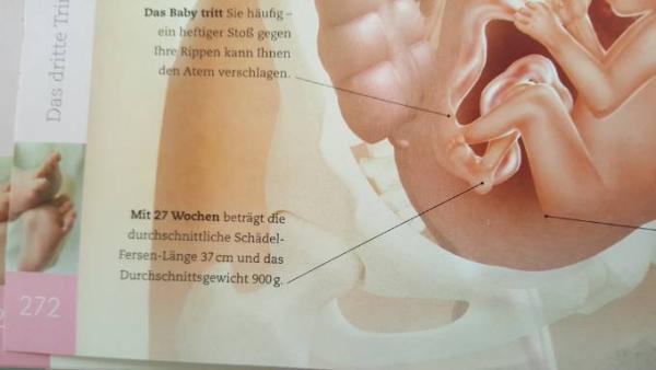 Bild zu 
