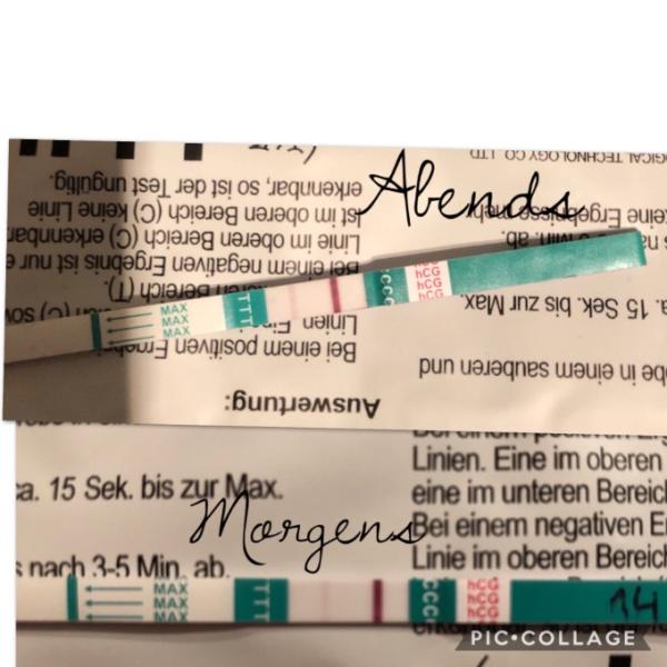 Bild zu Test abends stärker als mit MoU??? - Forum für Oktober - Mamis