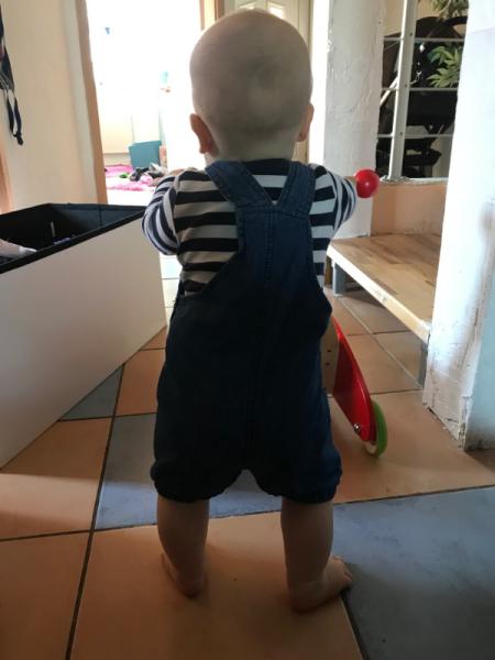 Bild zu 