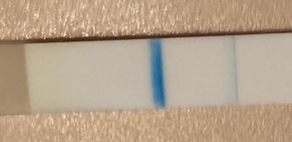 Bild zu Hat schon mal jemand einen clearblue auseinander gebaut? - Forum für Oktober - Mamis