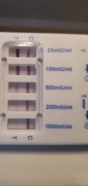 Bild zu Quantitativer Test - Forum für Oktober - Mamis