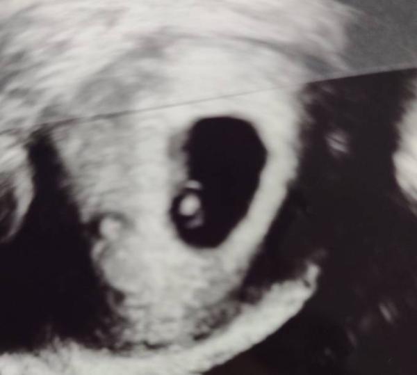 Bild zu Unser 2 Wunder < 3 - Forum für Oktober - Mamis