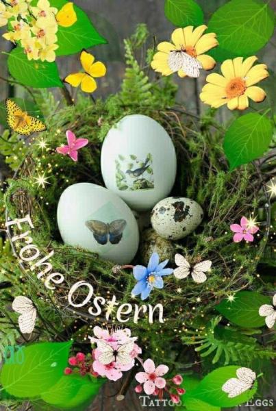 Bild zu Frohe Ostern - Forum für Oktober - Mamis