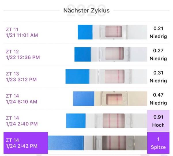 Bild zu Hoffen auf Oktoberbaby | Ovu heute positiv gestestet - Forum für Oktober - Mamis
