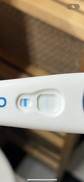 Bild zu Meine Welt steht kopf! - Forum für Oktober - Mamis