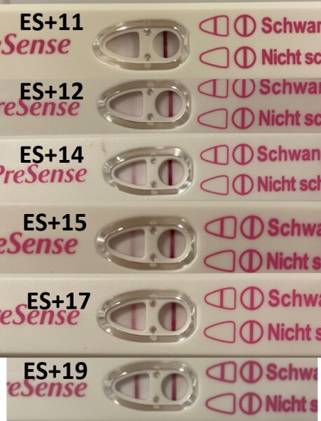 Bild zu Glaube ich kann Testreihe beenden 🥰 - Forum für Oktober - Mamis