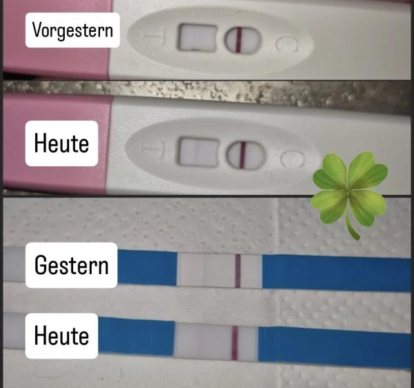 Bild zu "Neu" hier und hoffentlich länger dabei - Forum für Oktober - Mamis