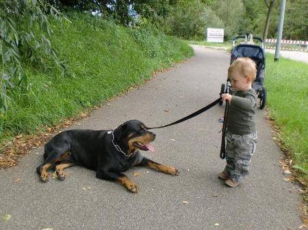 Bild zu