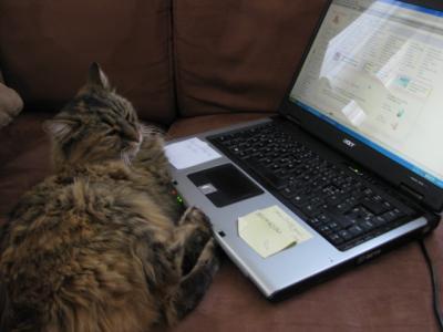 Bild zu So, das darf ich Euch nicht vorenthalten ... - Forum für November - Mamis