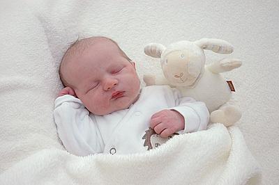 Bild zu Ich möchte euch jemanden vorstellen ... - Forum für November - Mamis