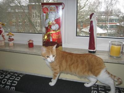 Bild zu Mein Mann... - Forum für November - Mamis