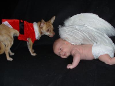 Bild zu Ich habe... - Forum für November - Mamis