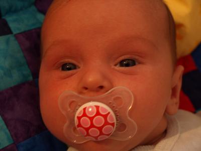 Bild zu aktuelles Bild - Forum für November - Mamis