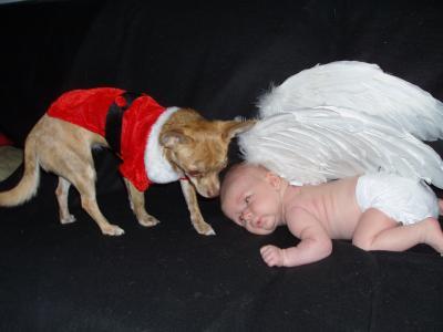 Bild zu Am die Haustierbesitzer - Forum für November - Mamis