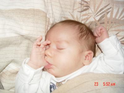 Bild zu Ich zeig euch auch mal ein Bild ! - Forum für November - Mamis