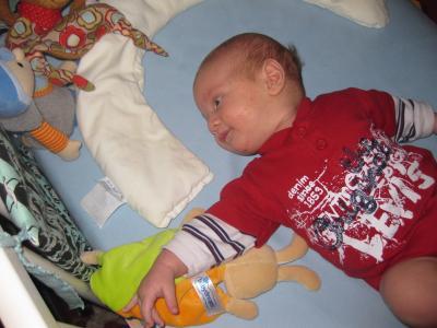 Bild zu Bennet und die Affen - Forum für November - Mamis