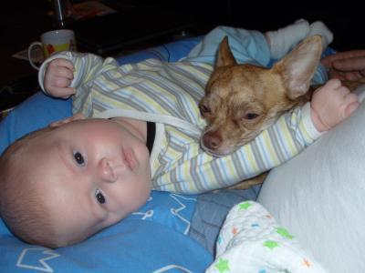 Bild zu An die Haustierbesitzer - Forum für November - Mamis