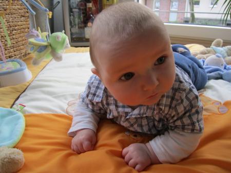 Bild zu 