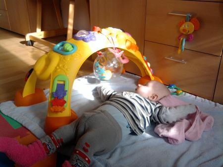 Bild zu 
