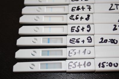 Bild zu Brauch mal eure Meinung! (mit Photo) - Forum für November - Mamis